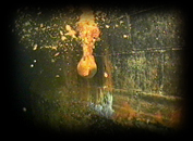 019 Light bulb
